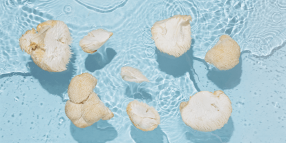 ;  "Hericium: a mushroom with a tradition and a future"